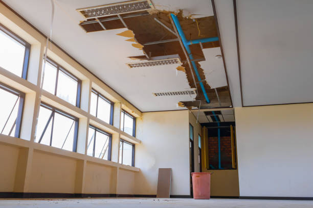 Best 24/7 water damage repair  in Mayflower, AR