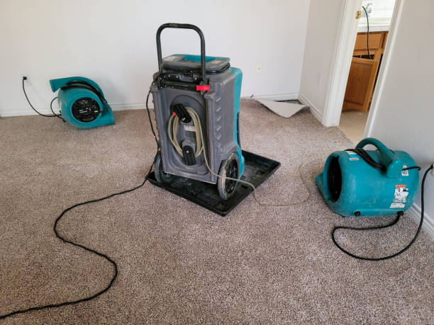 Best Sewage cleanup and water damage restoration  in Mayflower, AR
