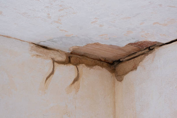 Best Commercial water damage restoration  in Mayflower, AR