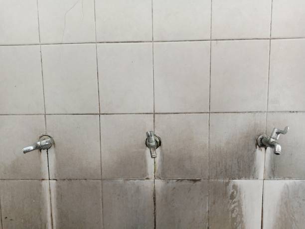 Best Ceiling water damage repair  in Mayflower, AR