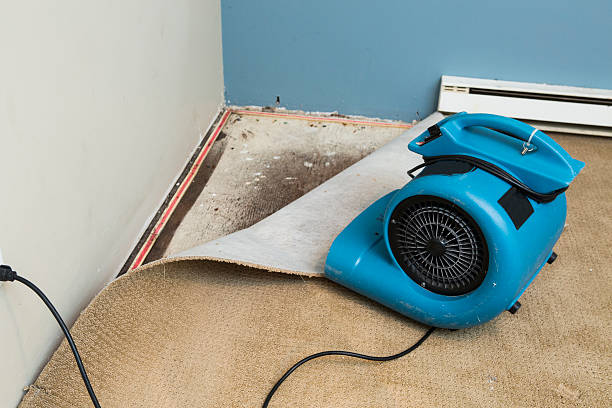 Best Flood damage cleanup  in Mayflower, AR